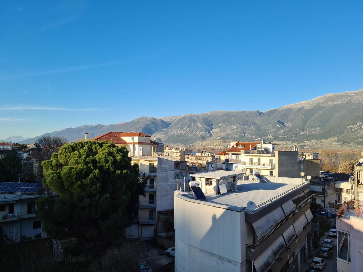 Comfy Urban Apartment Ioannina Extérieur photo