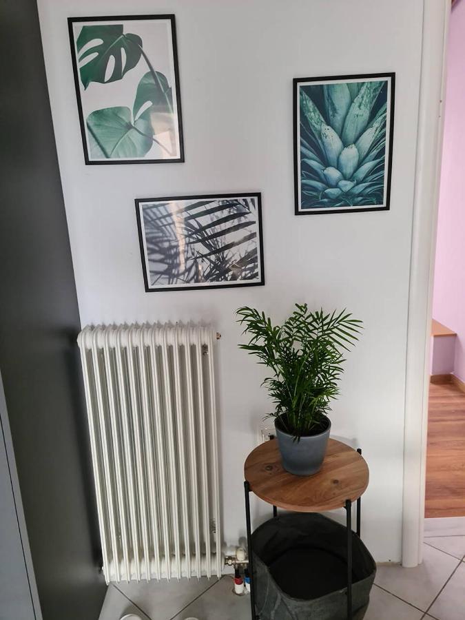 Comfy Urban Apartment Ioannina Extérieur photo